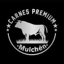 Carnes Mulchen logo