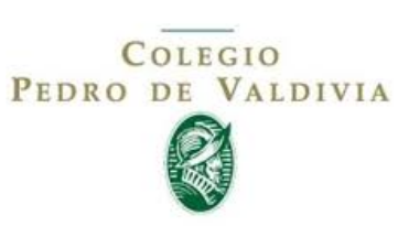 COLEGIO VALDIVIA LOGO